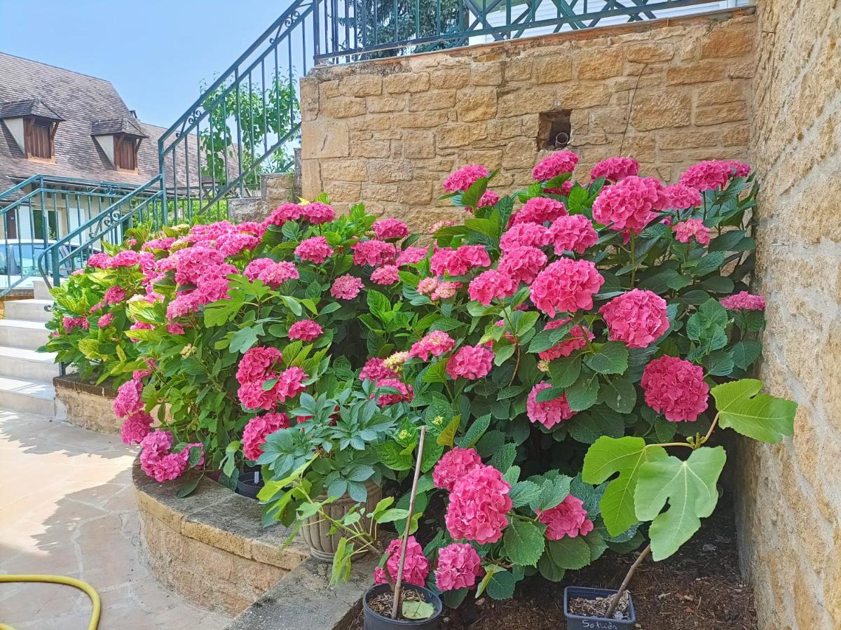 La Villa Perigourdine Sarlat-la-Canéda Exteriör bild